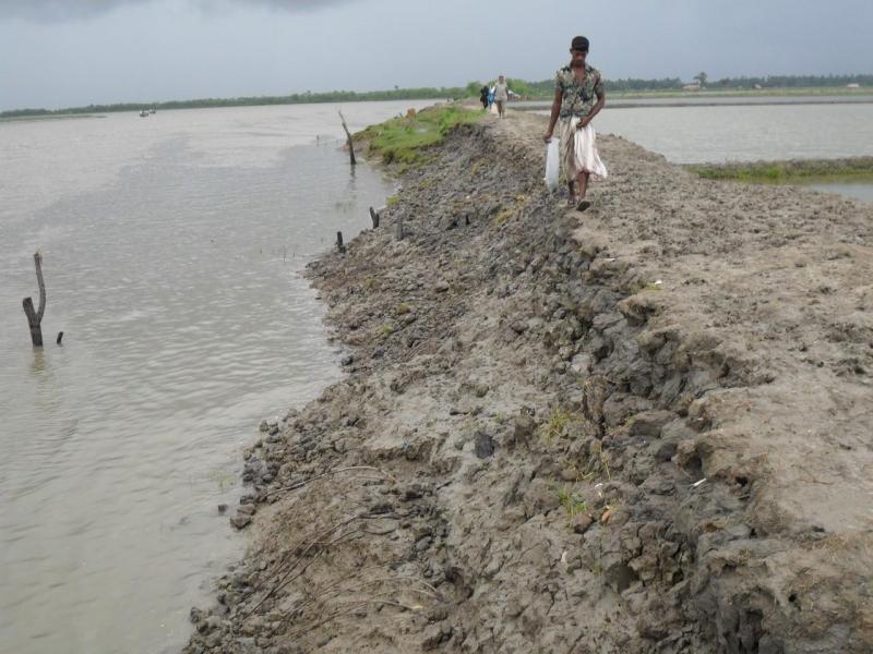Eroded farmland in Bangladesh