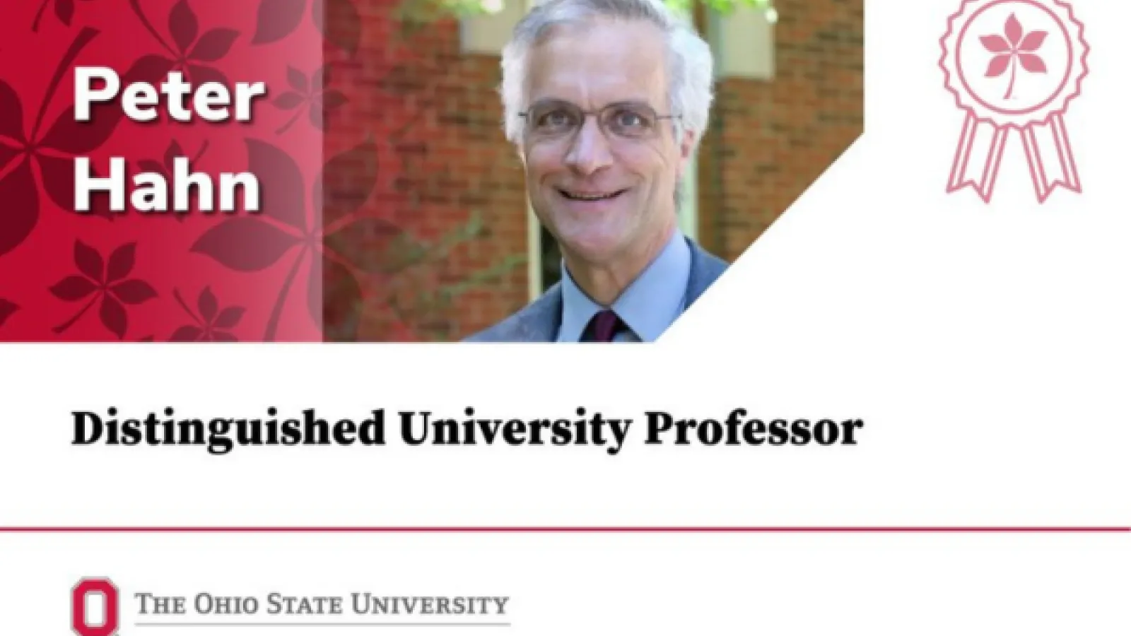 Peter Hahn distinguished university professor