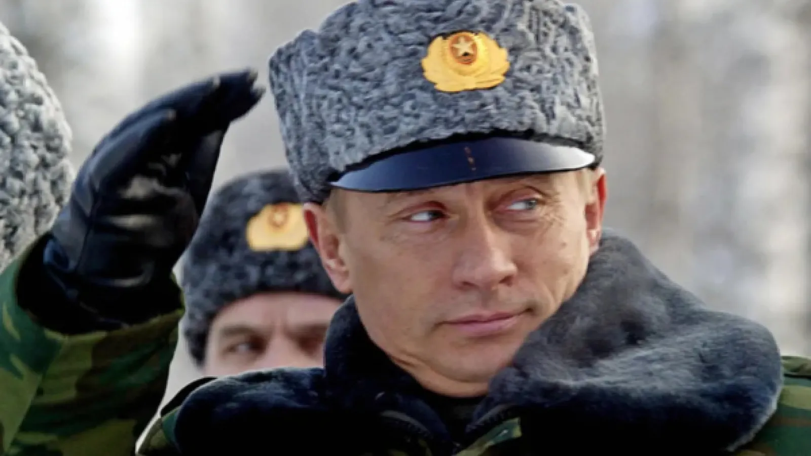 Putin in fur hat