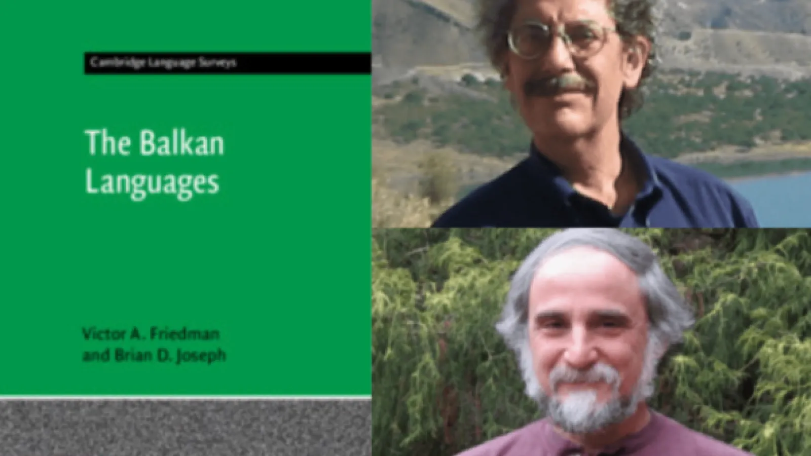 the Balkan Language book 