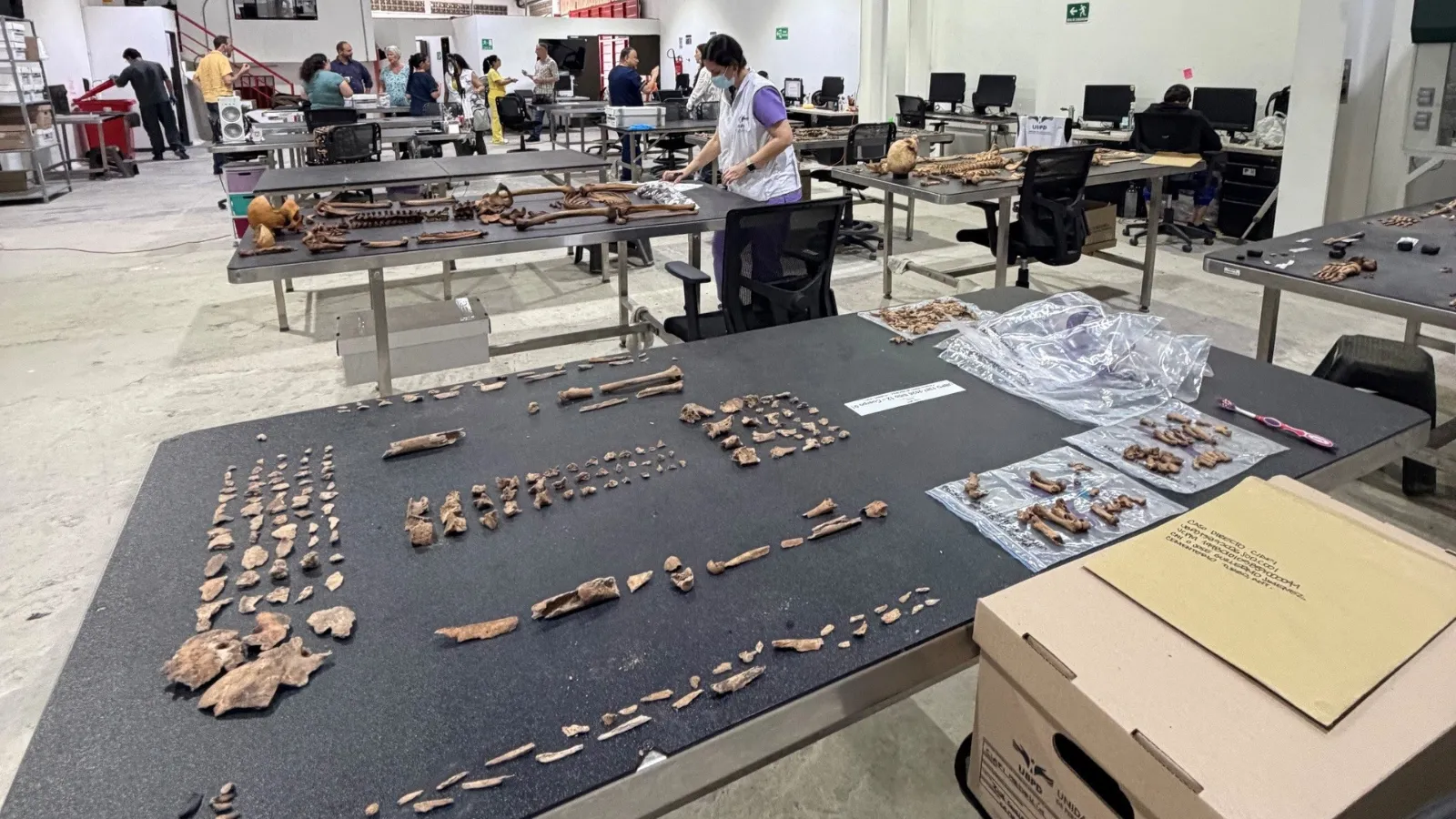 People and bones on tables at a genetic identification laboratory in Colombia