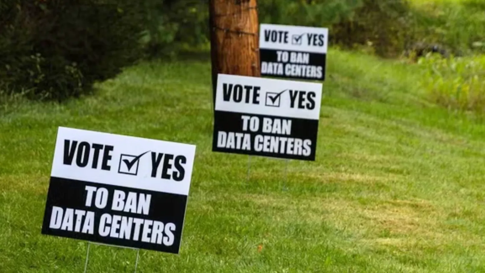 Black and white yard signs to ban data centers