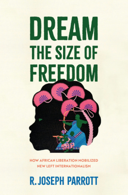 Dreams the Size of Freedom by R. Joseph Parrott