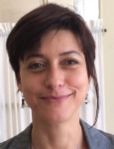 Irina Tomescu-Dubrow