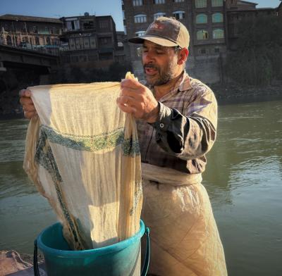Inspecting the Pashmina intently