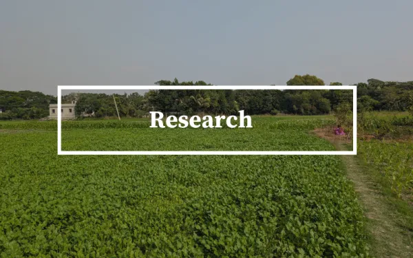 Field in Bangladesh