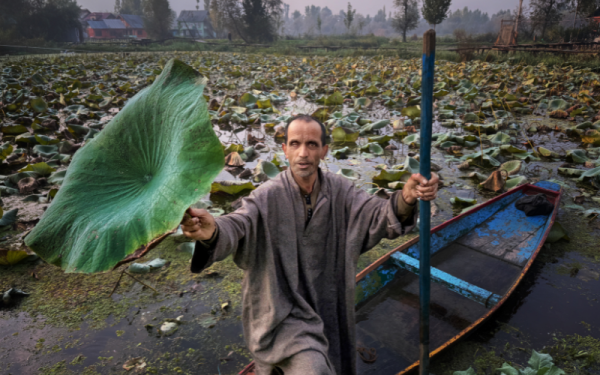 Man in boat on shore